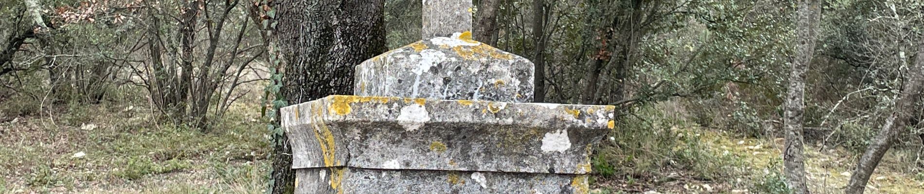 Tocht Stappen Vacquières - Vaquière La Chapelle d’Aleyras - Photo