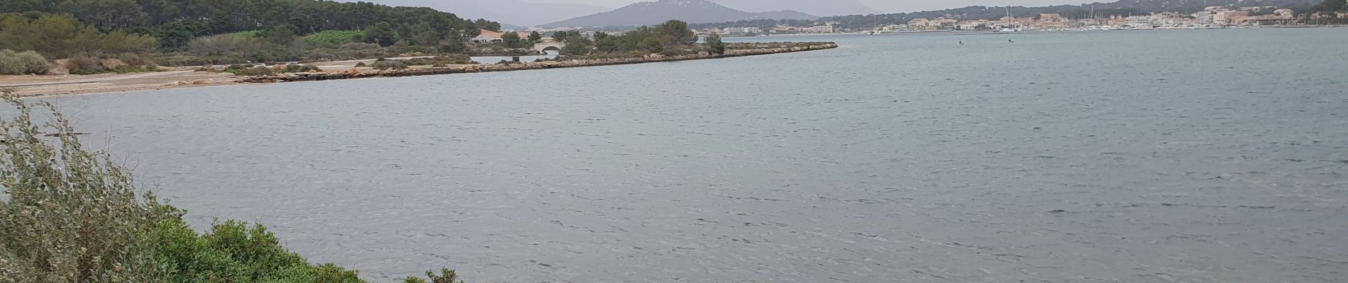 Excursión Senderismo Six-Fours-les-Plages - Tour des Embiez - Photo