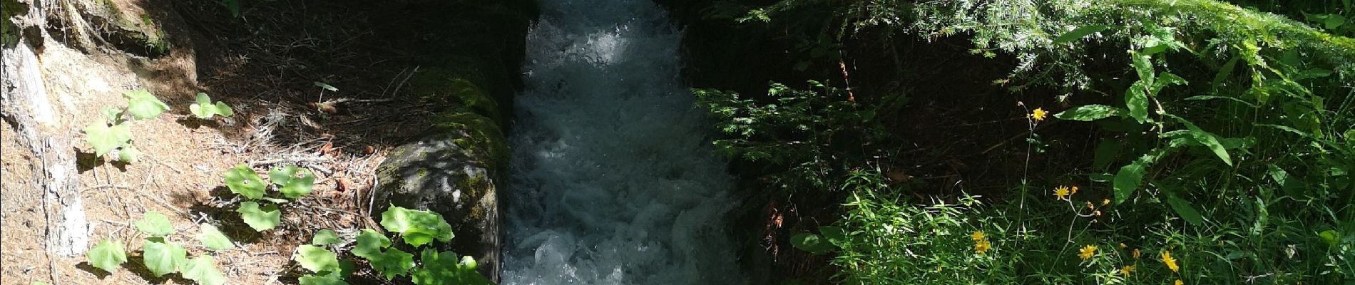 Tocht Stappen Arbaz - Anzère  - Photo