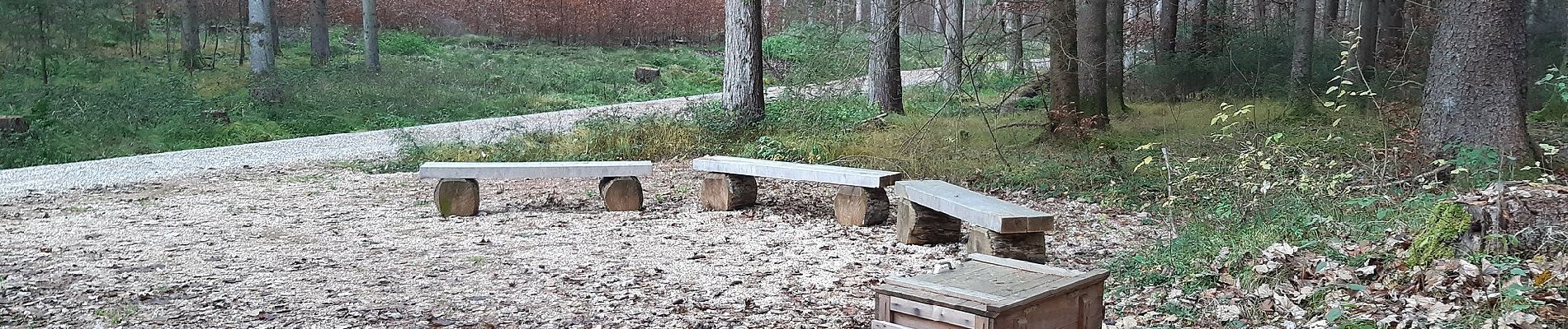 Tour Zu Fuß Jettingen-Scheppach - Rundum bei Glöttweng - Photo