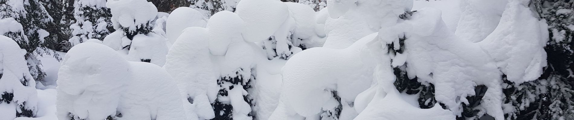 Excursión Raquetas de nieve Châtelblanc - raquette jura j2 - Photo