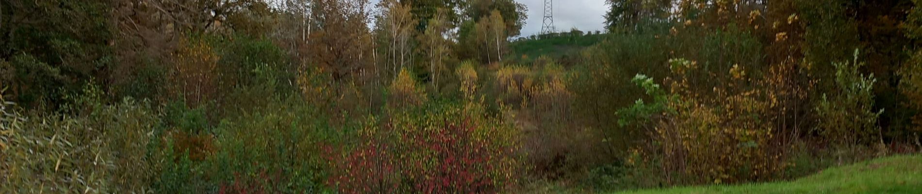 Trail Walking Arches - arches oct 2023 - Photo