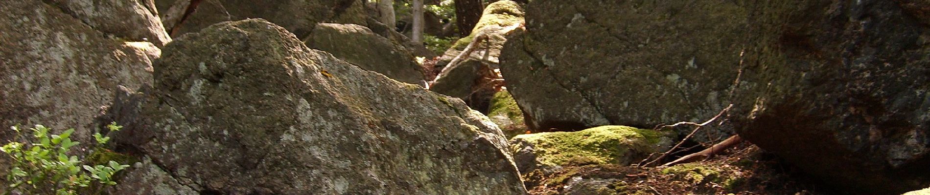 Percorso A piedi Sobótka - Szlak archeologiczny - Photo