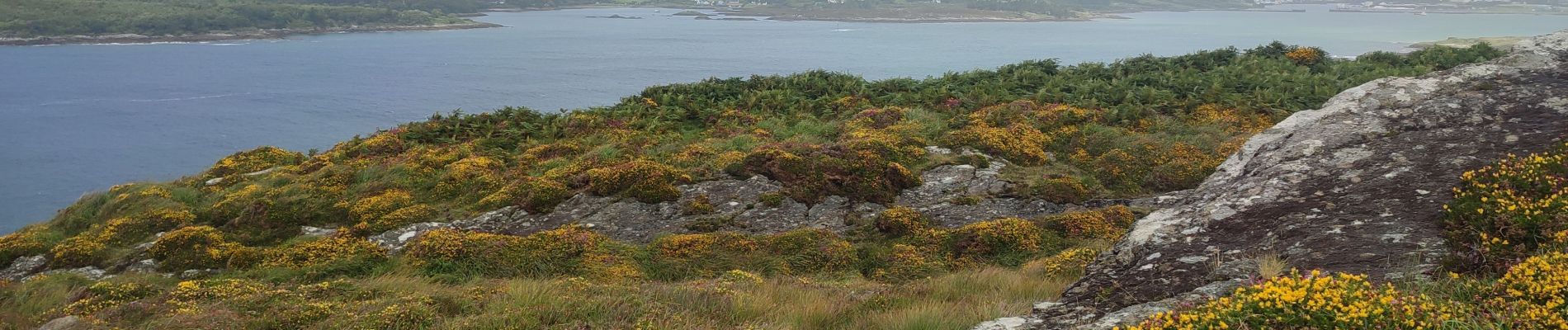 Percorso Marcia West Cork - Bere Island - Photo