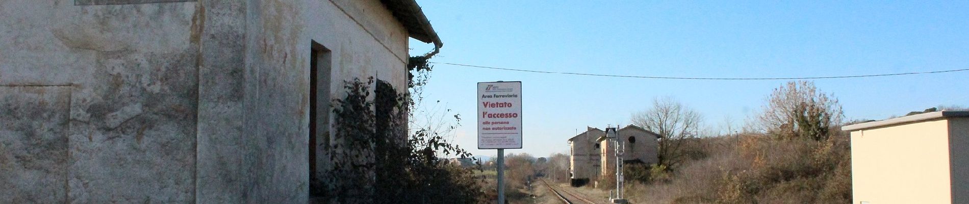 Trail On foot Montalcino - IT-5 - Photo