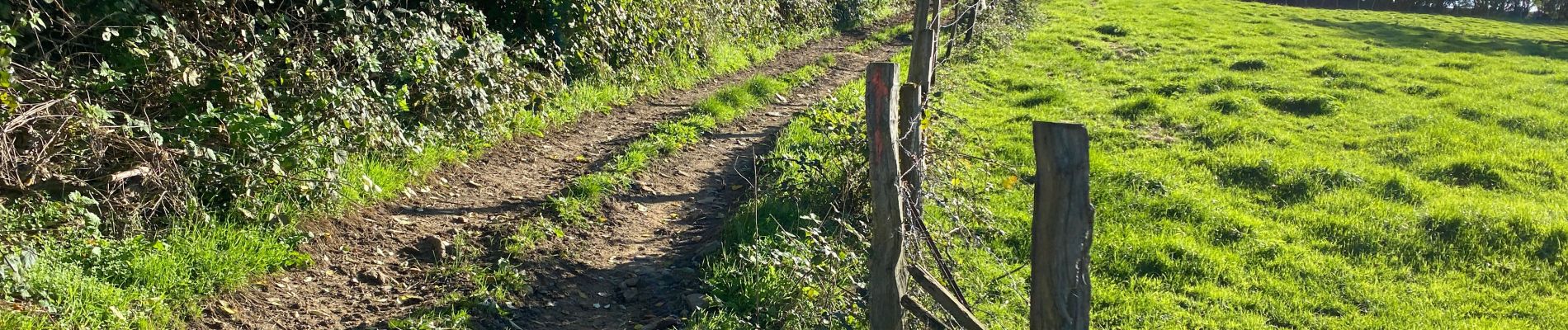 Randonnée Marche Dinant - Loyers demi 16,5 km - Photo