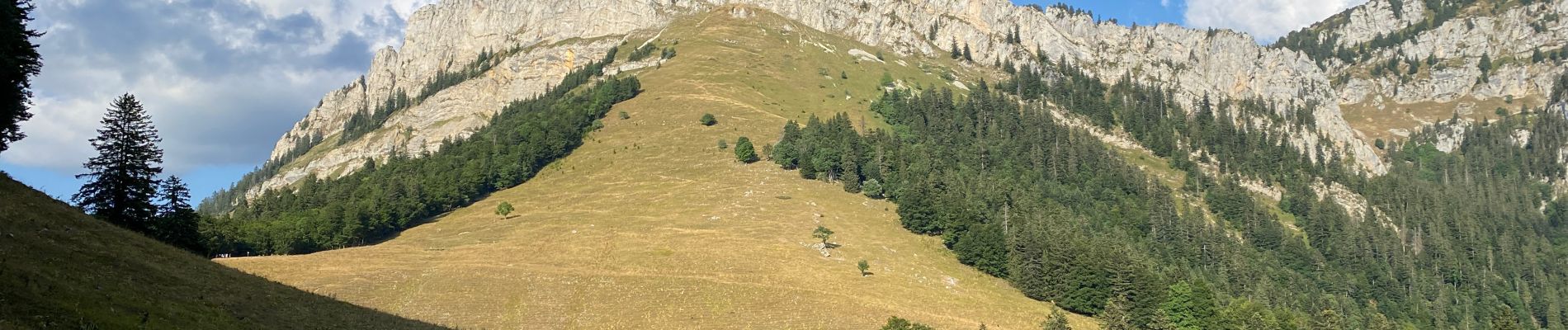 Trail Walking Saint-Christophe-sur-Guiers - Randonnée des trois cols - Photo