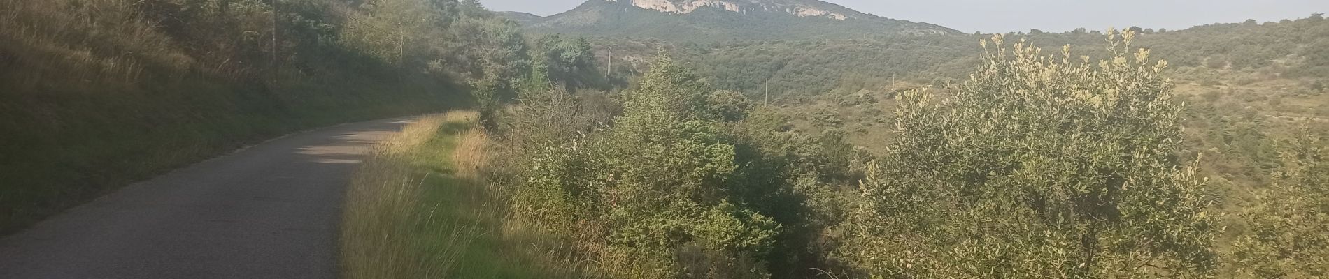 Excursión Bici de montaña Valvignères - Valvigniere Dent de Retz - Photo