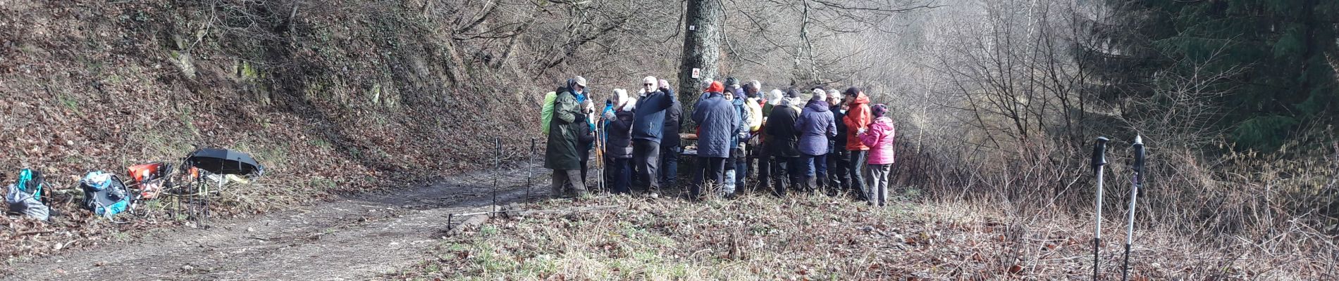 Tour Wandern Moosch - 2020.02.04.Moosch - Photo