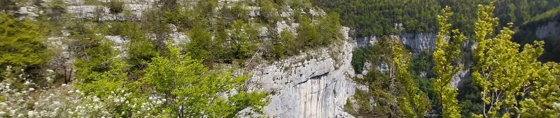 Tour Wandern Rencurel - Pas de la Chêvre pas des rages vire de la Ferrière - Photo