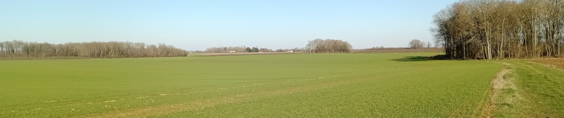 Tour Wandern L'Épine-aux-Bois - L'Epine-aux-Bois du 07-02-2023 - Photo