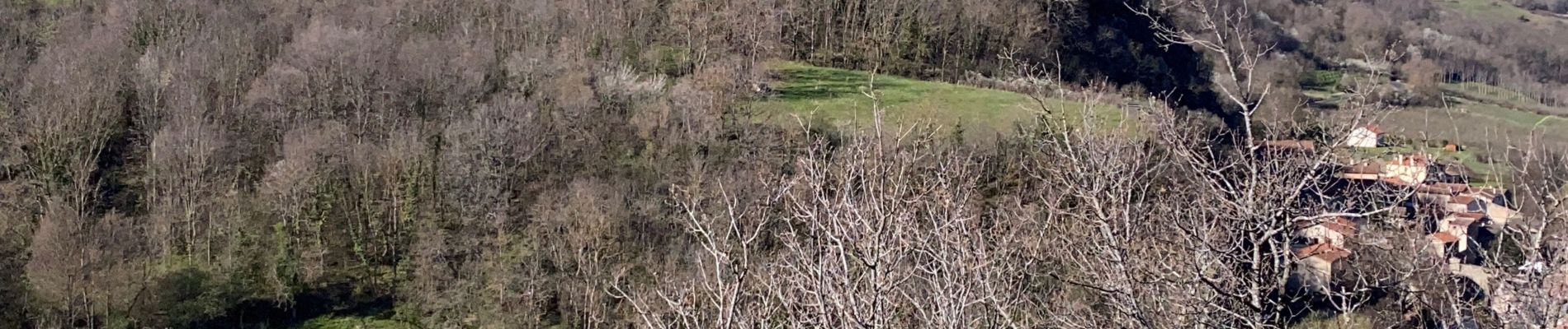 Randonnée A pied Coudes - GR Pays autour d'Issoire et de la couze pavin sur 2 jours 61 km - Photo