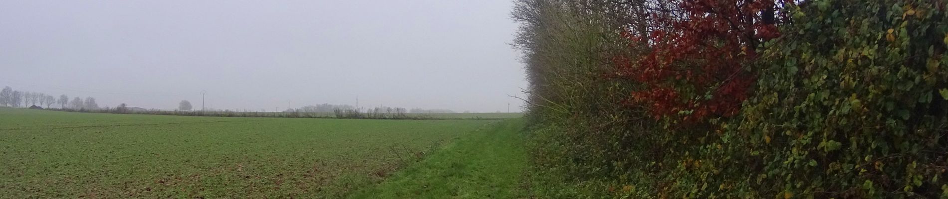 Randonnée V.T.T. Charleroi - VTT de Ransart à Marbais - Photo