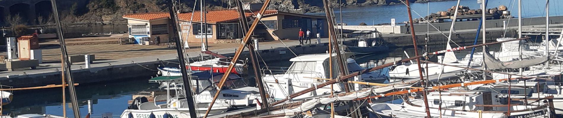 Tocht Stappen Banyuls-sur-Mer - banyuls . coll de gran bau . retour par le littoral  - Photo