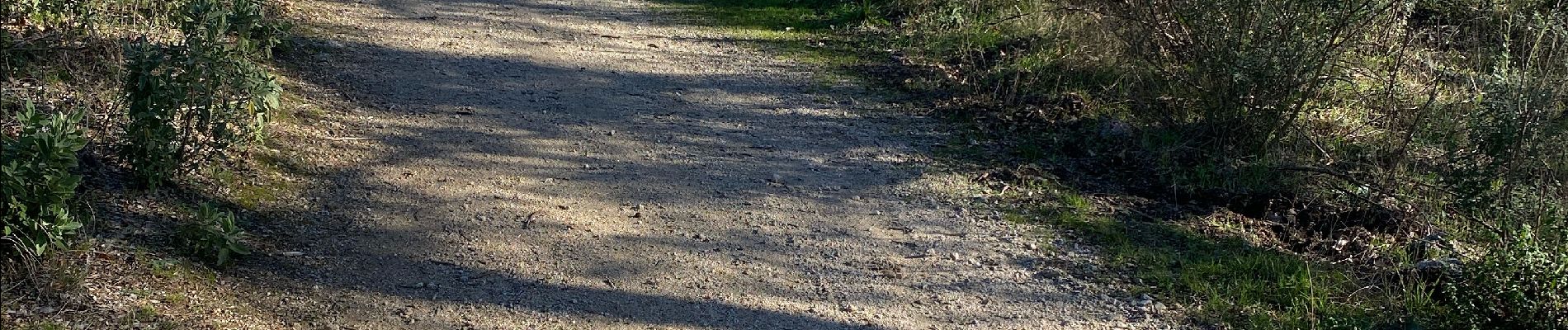 Tocht Stappen Bagnols-en-Forêt - Bagnols-en-Forêt la verrerie  - Photo