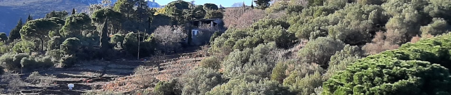 Tocht Stappen Port-Vendres - vinaigrerie - Photo