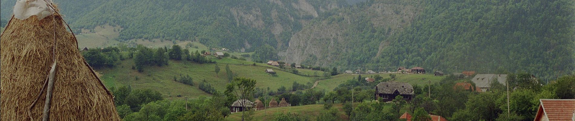 Trail On foot Unknown - Cabana Curmătura-Valea Vlădușca-Casa Folea - Photo