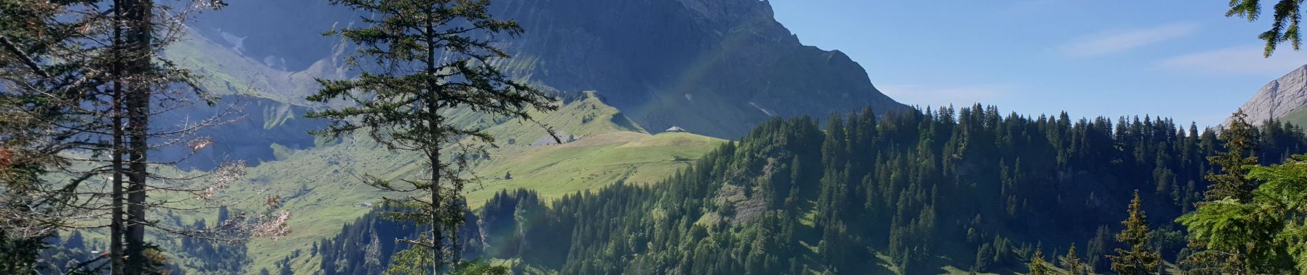 Randonnée V.T.T. La Giettaz - la giettaz - Photo