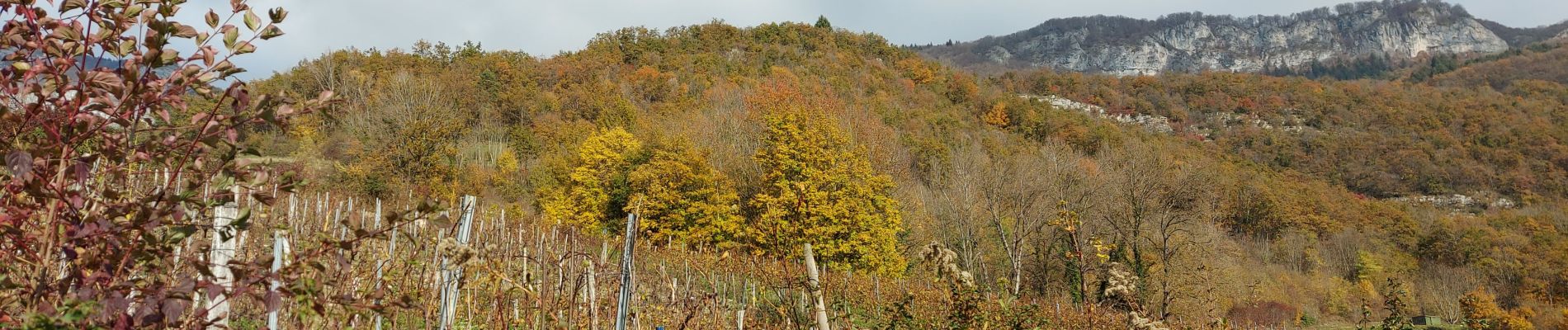 Tour Wandern Saint-Jean-de-Chevelu - sr jean de chevelu 2011 - Photo