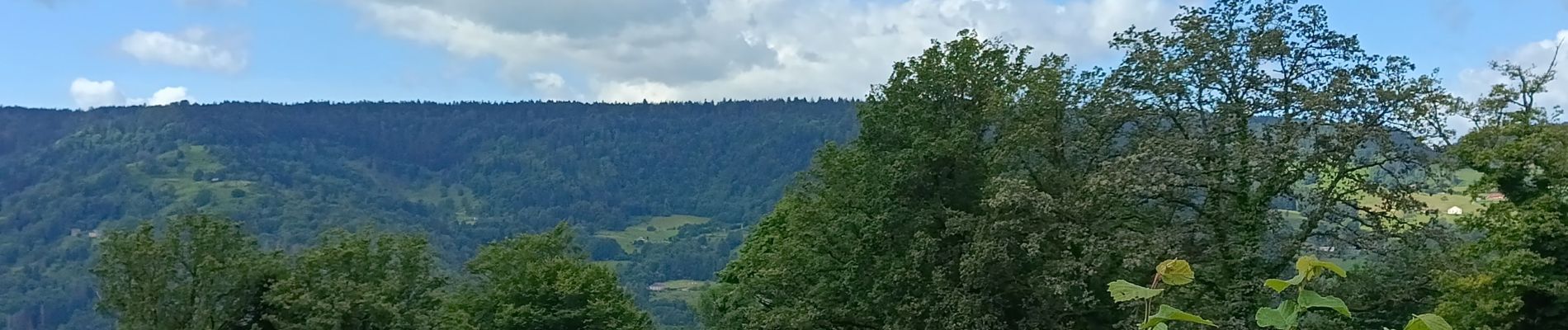 Tocht Stappen Basse-sur-le-Rupt - petit circuit sous Burotte - Photo