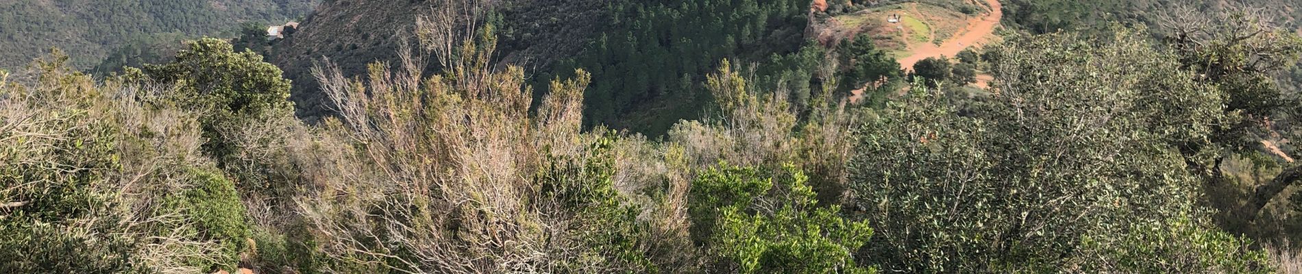 Randonnée Marche Saint-Raphaël - Les grues et le Mont St Martin depuis le col Notre Dame - Photo