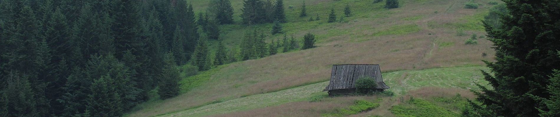 Tocht Te voet Lubomierz - Ścieżka edukacyjna „Dolina Gorcowego Potoku” - Photo