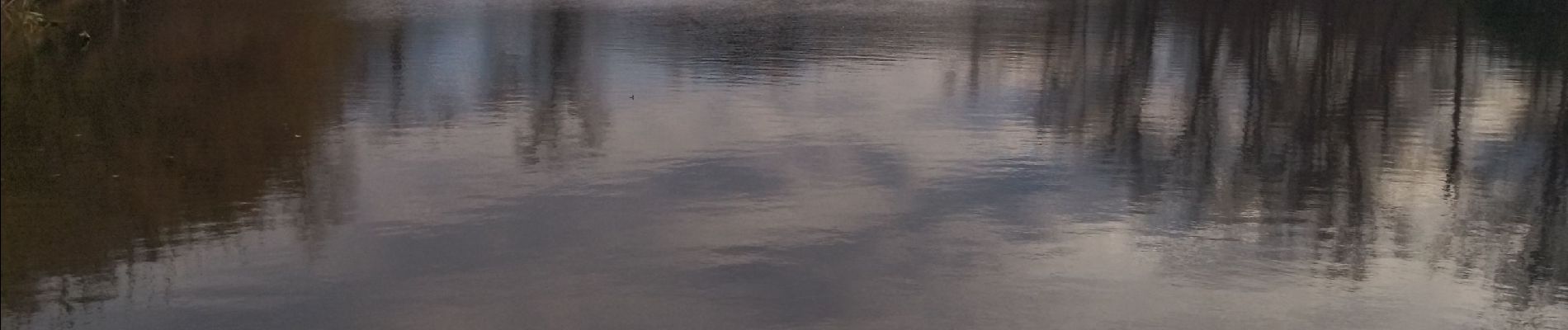 Excursión Senderismo La Crau - La Crau, le Fenouillet, le lac - Photo