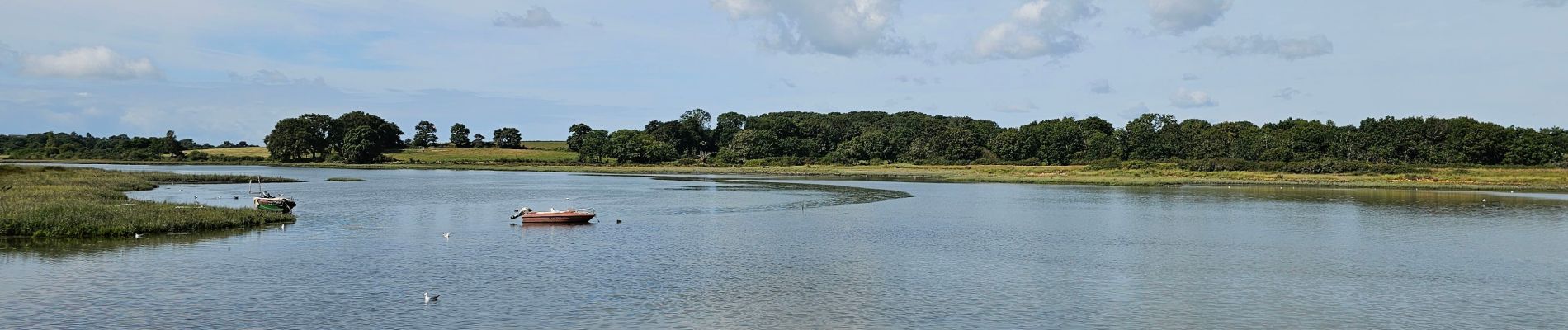 Tour Wandern Vannes - Ballade_002 - Photo