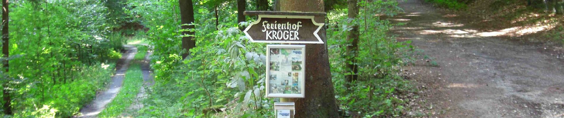 Tocht Te voet Steinhagen - A1 - Kirchdornberg - Photo