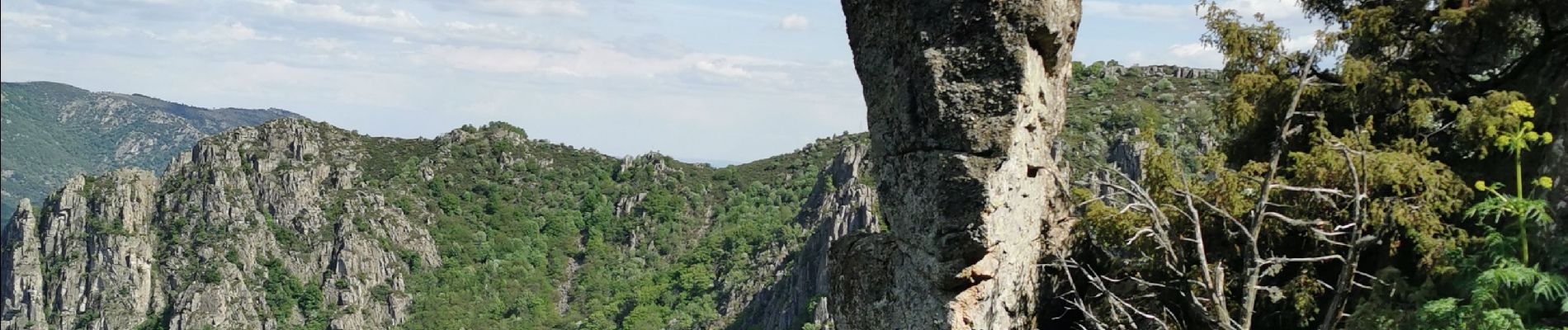 Tour Wandern Prévenchères - La Garde Guerin - Photo