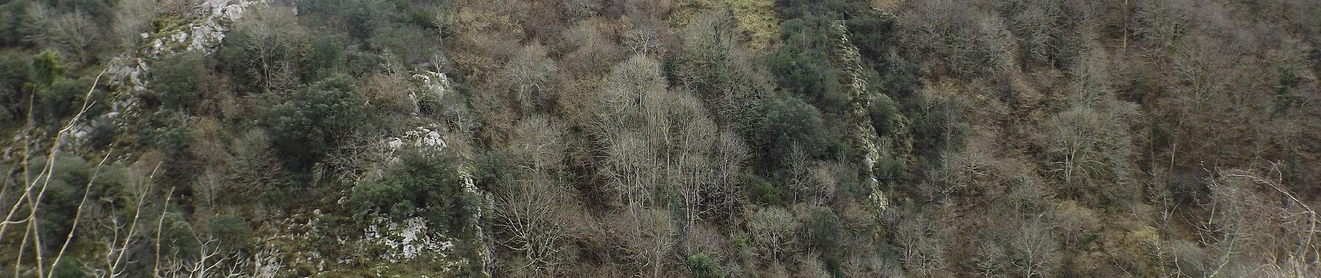 Trail On foot Cabrales - Inguanzo - Poo - Photo