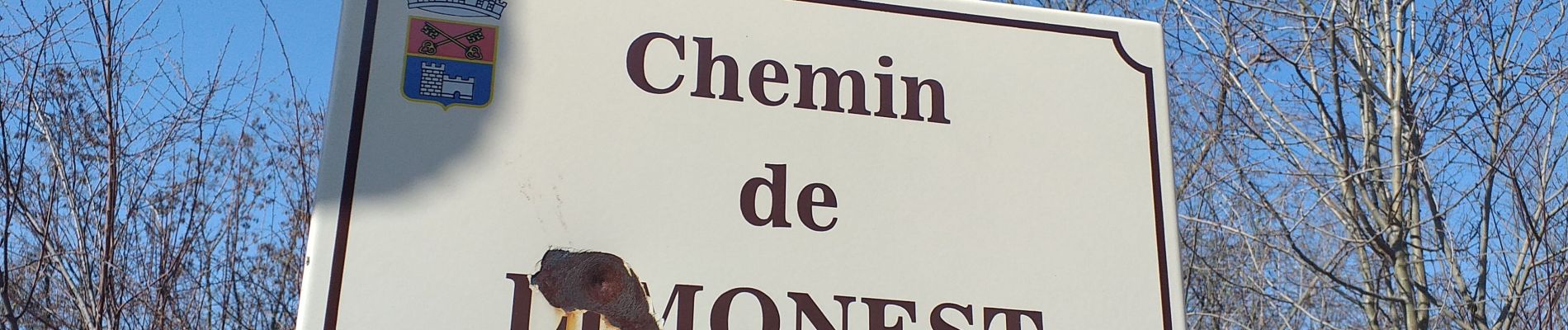 Excursión Senderismo Chasselay - Chasselay chemin de Fromentin vers Limonest Mt Verdun - Photo