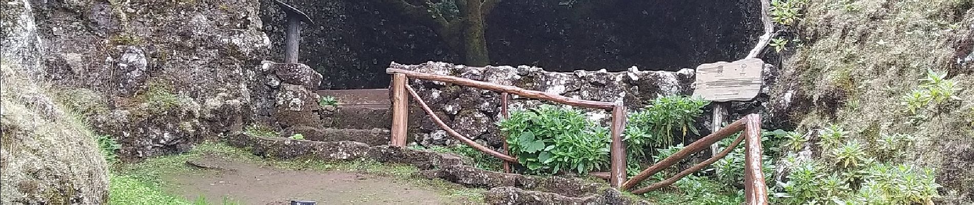 Percorso A piedi Valverde - San Andrés - Árbol Santo - Las Montañetas - Photo