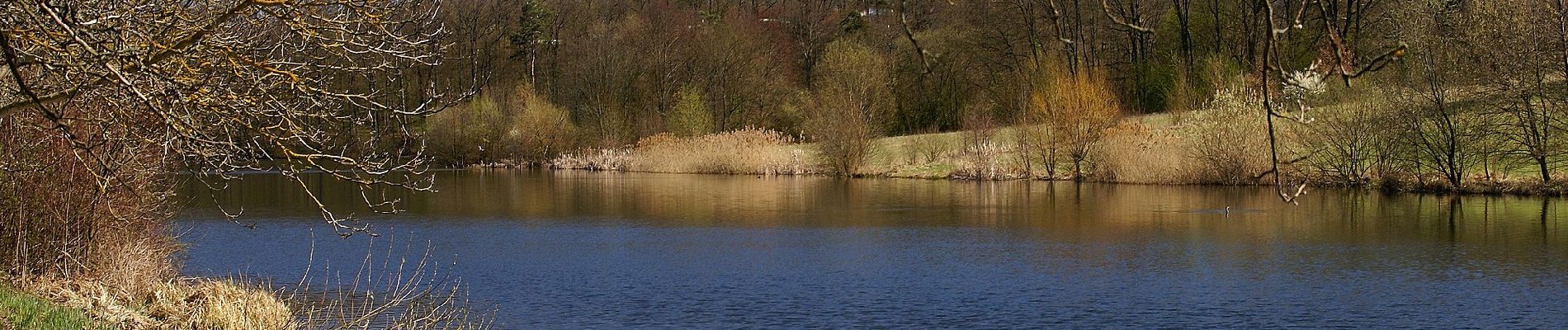 Tocht Te voet Zaberfeld - Seenweg in Zaberfeld - Photo