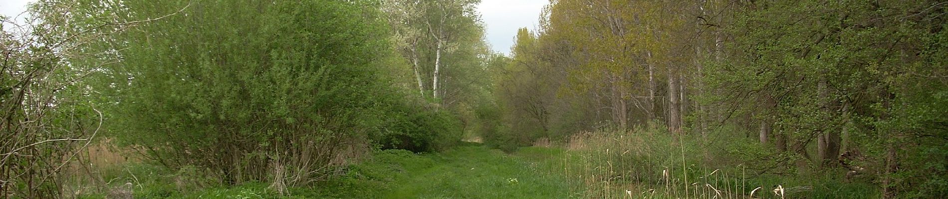 Percorso A piedi Szigliget - Kamon-kő tanösvény - Photo