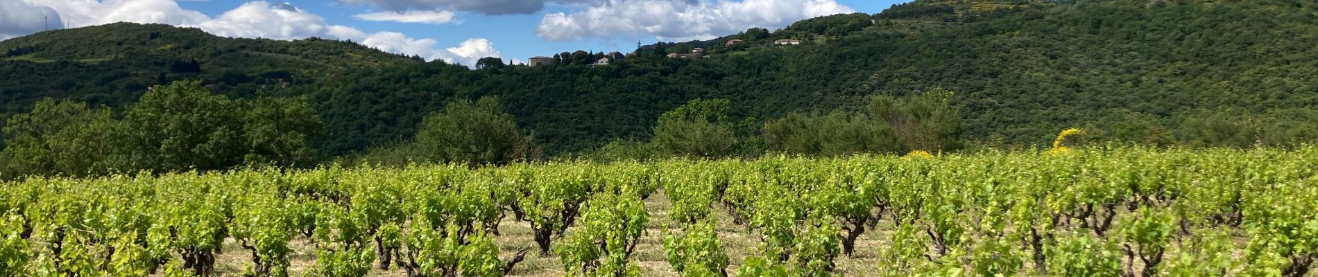 Randonnée Marche Villemagne-l'Argentière - Ppp - Photo