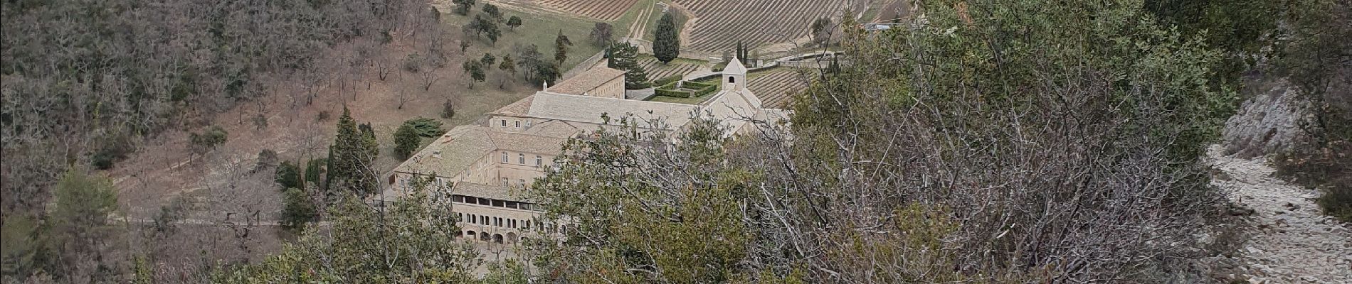 Percorso Marcia Gordes - Sénanque les Bories Gordes - Photo