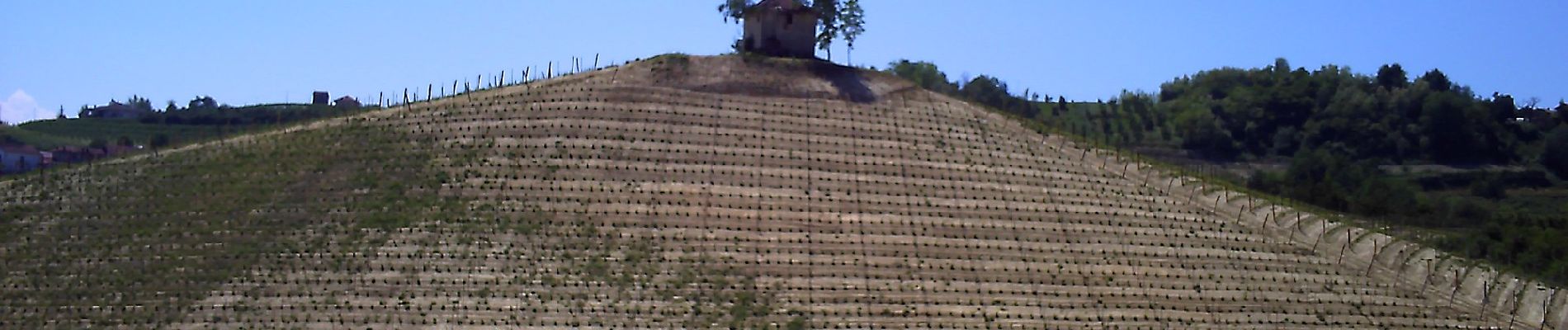 Randonnée A pied Monteu Roero - Sentiero dei Fossili - Photo