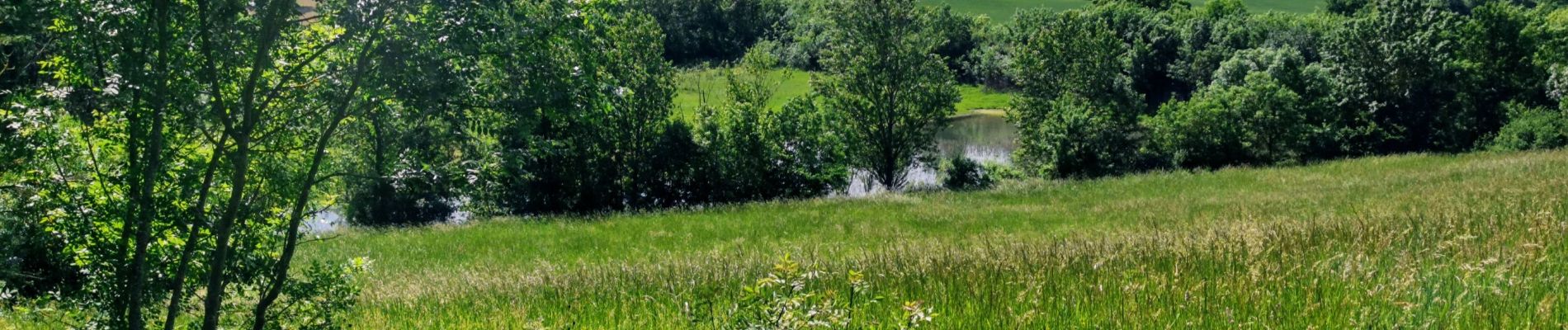 Randonnée A pied Mauvezin - Mauvezin :Le Gouffre de La Hobio - Photo