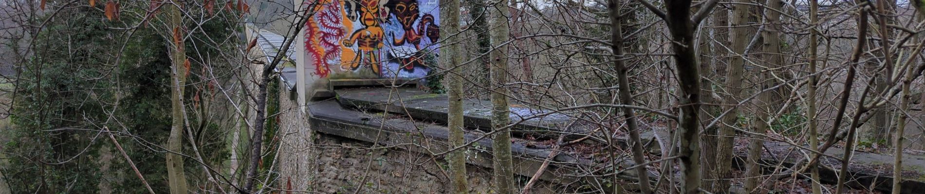 Percorso Corsa a piedi Guyancourt - Minière bievre - Photo