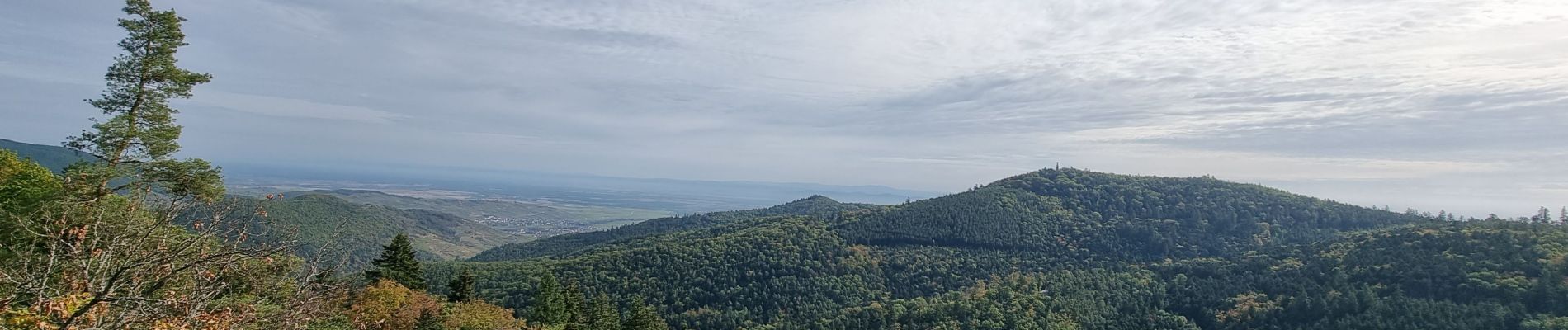 Tour Wandern Ammerschweier - ARCA AMMERSCHWIHR - Photo