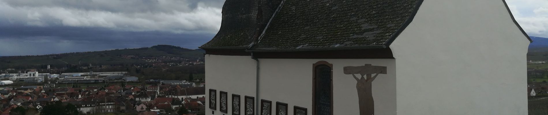 Percorso Marcia Marlenheim - le vignoble de marlenheim (circuit) - Photo