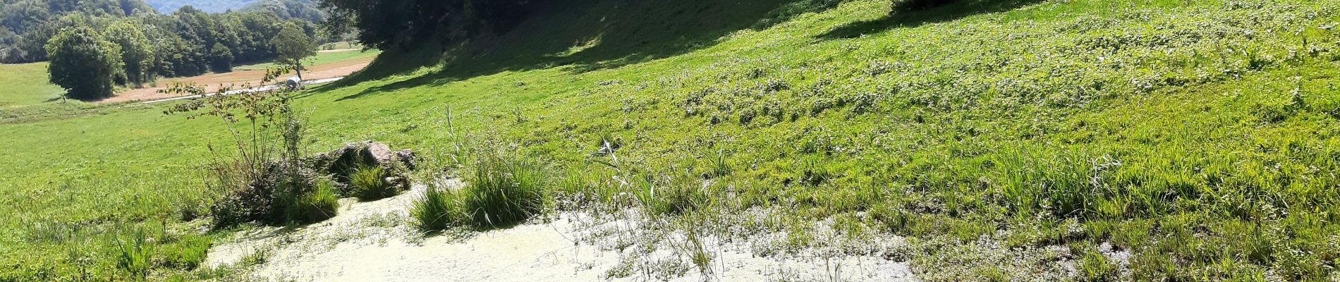 Randonnée Marche Bilieu - tour de lac. Paladru  - Photo