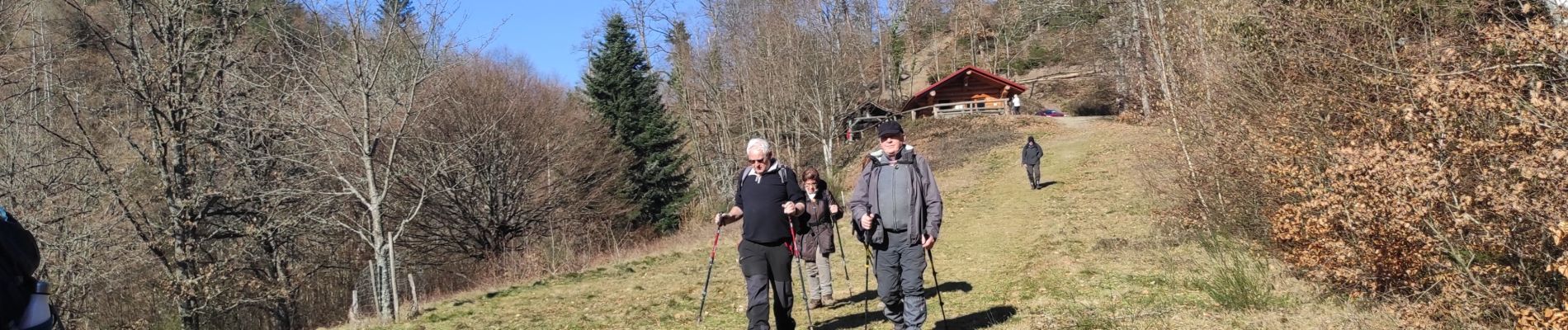 Trail Walking Masevaux-Niederbruck - Sickert chalet de Sickert  - Photo