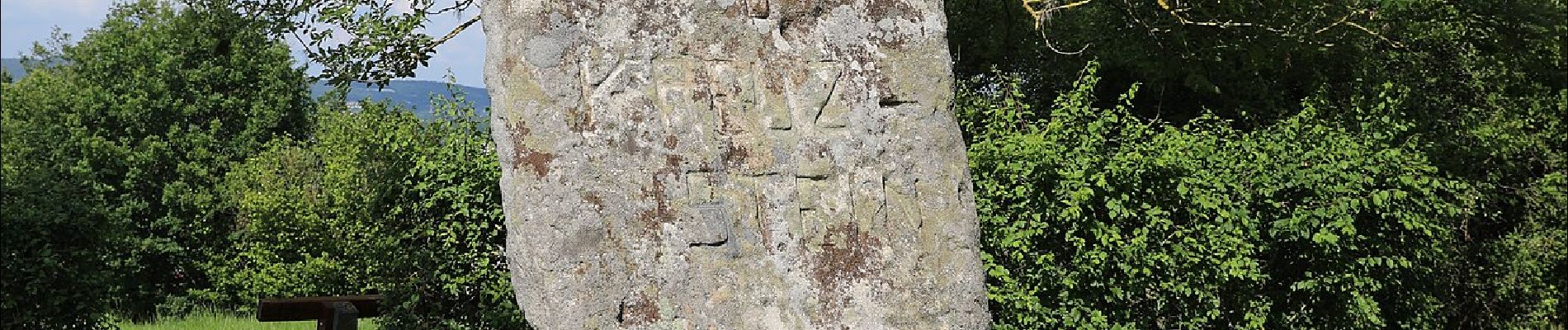 Percorso A piedi Michelau in Oberfranken - Spitzbergrundweg - Photo