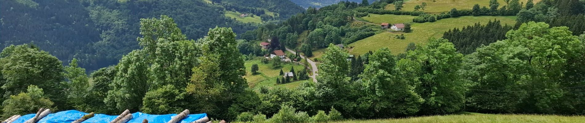 Tour Wandern Woll - la montagne aux Lamas - Photo