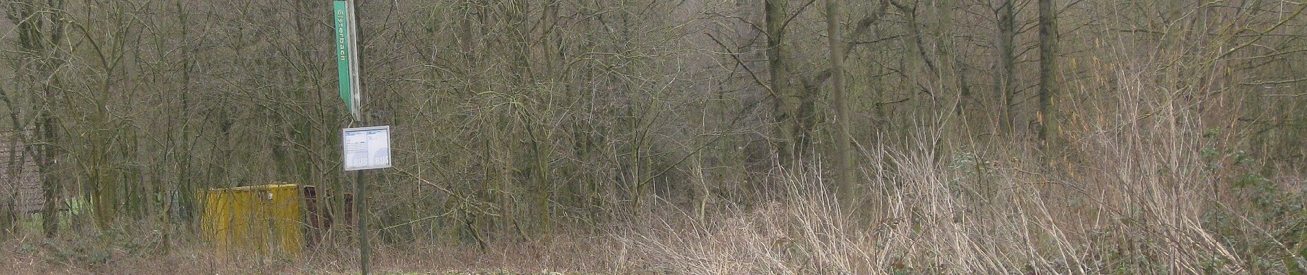 Percorso A piedi Gutsbezirk Reinhardswald - Fuldatal-Wilhelmshausen, Rundweg 2 - Photo