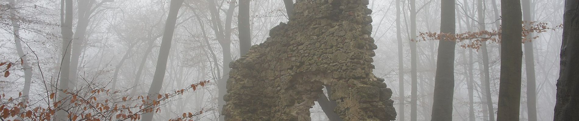 Tour Zu Fuß Velburg - Rundweg um den Eichelberg - Photo