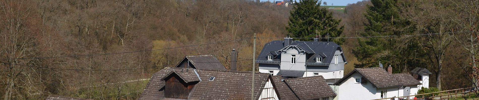 Randonnée A pied Weilrod - Helgenberg- Forst Laubach - Photo