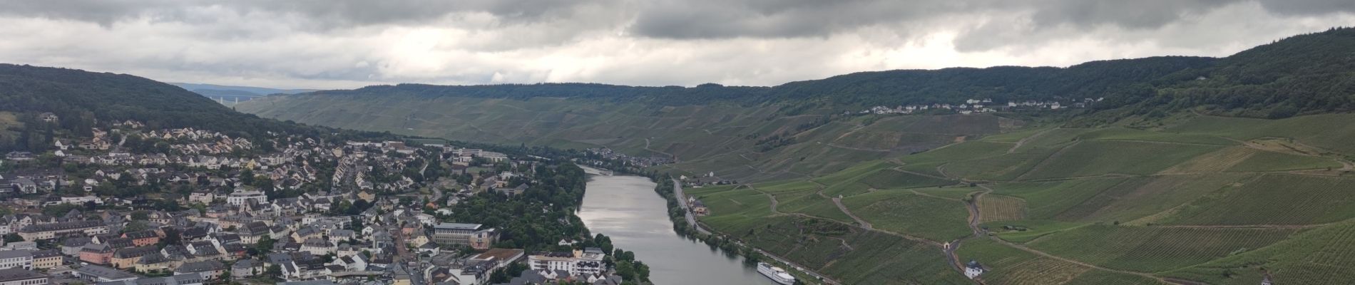 Percorso Marcia Bernkastel-Kues - A travers les Vignes de la Moselle 🌿 - Photo